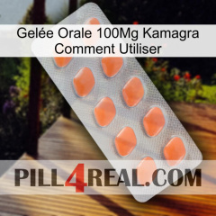 Gelée Orale 100Mg Kamagra Comment Utiliser 26